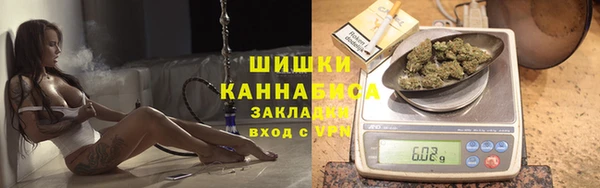 крисы Осинники