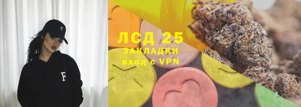 крисы Осинники