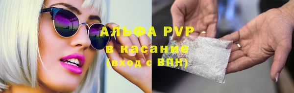 крисы Осинники