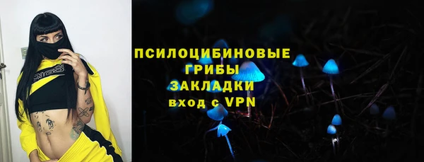 дживик Няндома