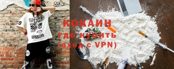 крисы Осинники