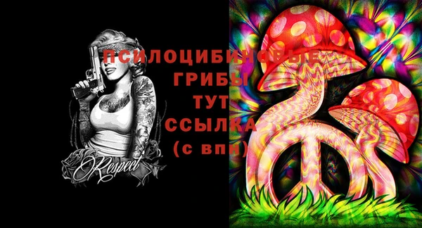 дживик Остров