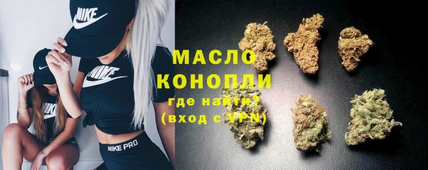 крисы Осинники