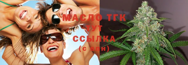 индика Грязовец