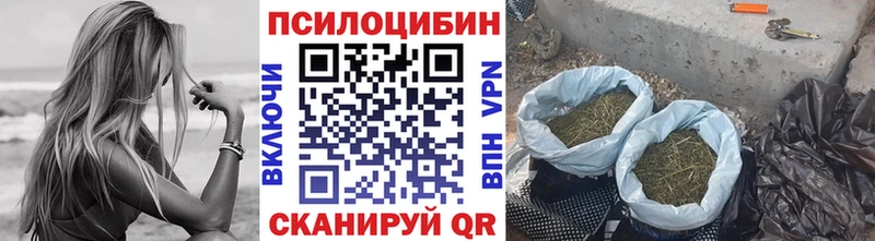 Галлюциногенные грибы Psilocybine cubensis  Сатка 