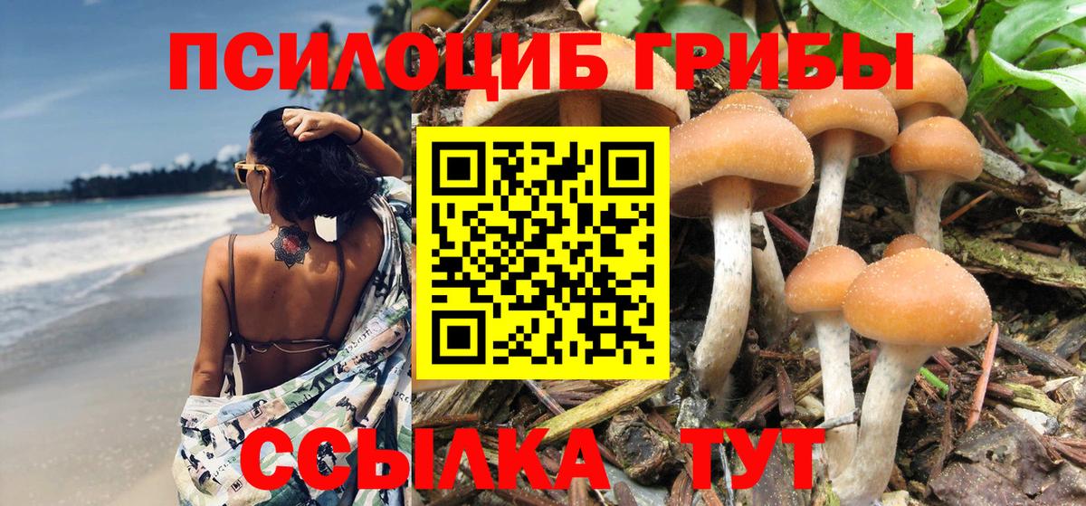 Сатка  Псилоцибиновые грибы Psilocybine cubensis  Вход с VPN  Галлюциногенные грибы GOLDEN TEACHER 