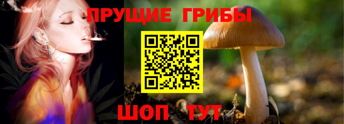 Галлюциногенные грибы прущие грибы Сатка